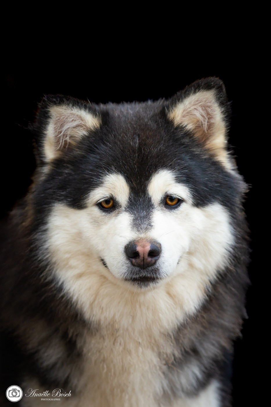 Uno De L'Univers De Minima