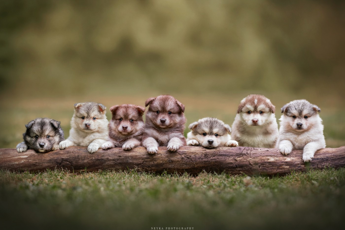 De L'Univers De Minima